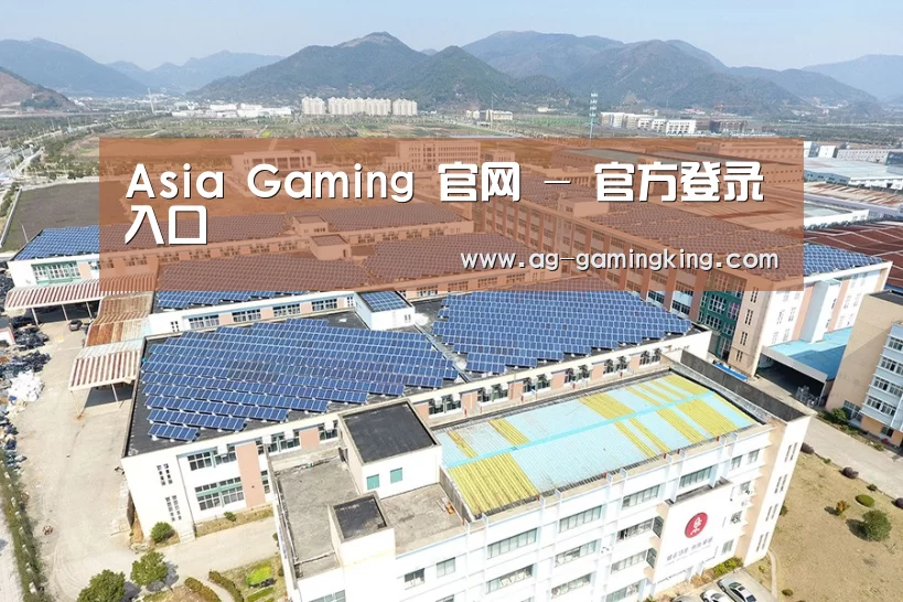案例展示四