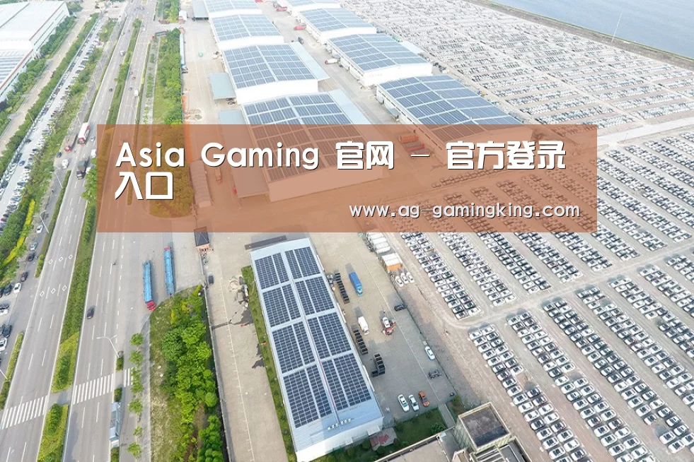 案例展示四