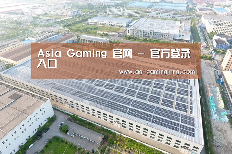 案例展示四