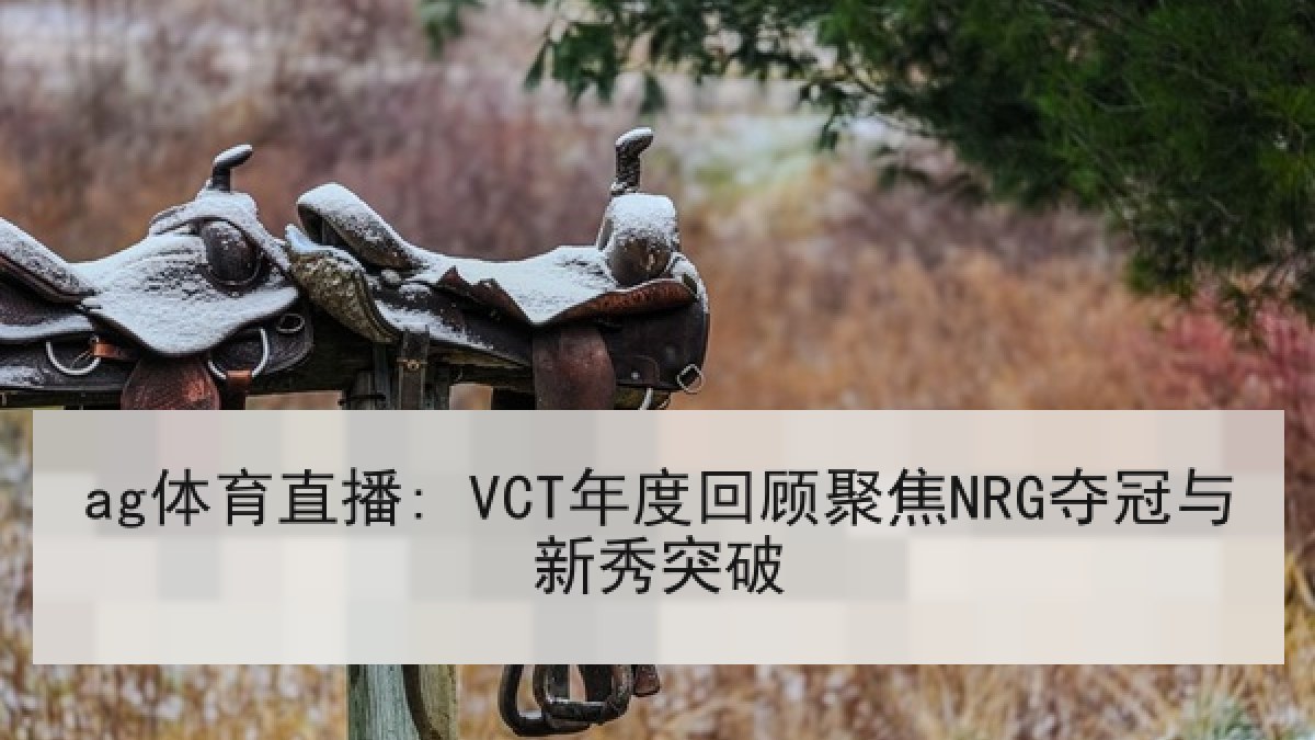 ag体育直播: VCT年度回顾聚焦NRG夺冠与新秀突破