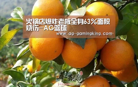 火锅店爆炸老板全身63%面积烧伤-AG篮