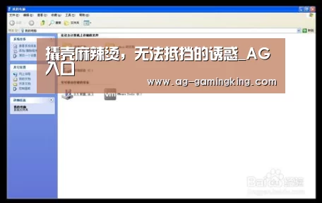 AG入口